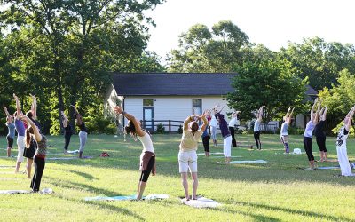Yoga Asanas: The 3rd Stage of Yoga
