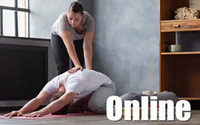 Foundations of Integral Yoga Therapy – Online