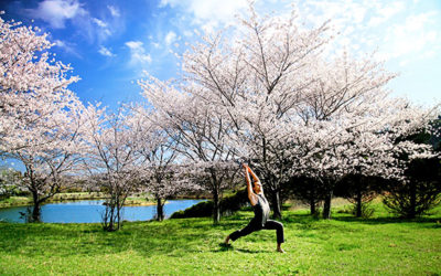 Hatha Yoga: Pathway To Transcending Our Patterns
