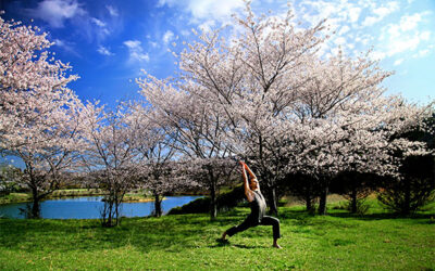 A Yogic Approach to Spring Cleaning