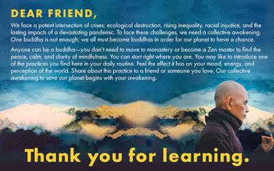 BOOK: Zen and the Art of Saving the Planet