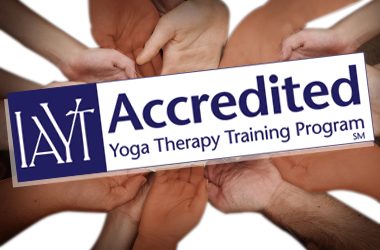 Find a Specialized Yoga Training Program