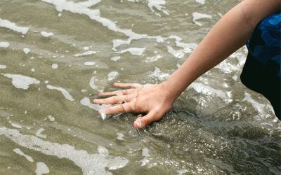 The Senses as a Pathway to Self-Mastery