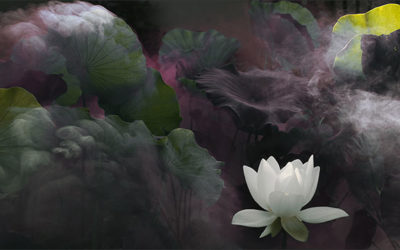 A Nondual Approach to the Niyamas