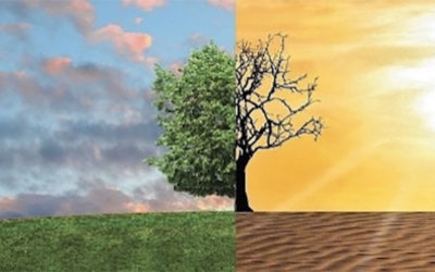 Practical Spirituality & Current Climate Emergence: August 13th Event