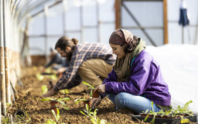 Calling All Farm Yogis!