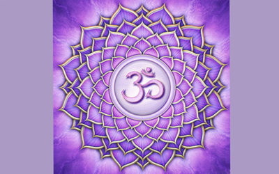 The Art of Yoga