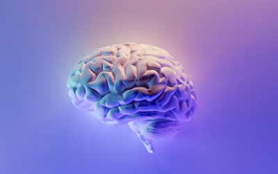 The Science of Yoga, Part 4: Yoga and Brain Functions