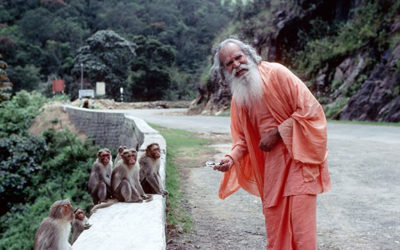 The Monkey Mind