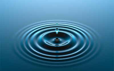 Yoga and Unity: Ripples for Change