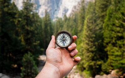 Living On Purpose