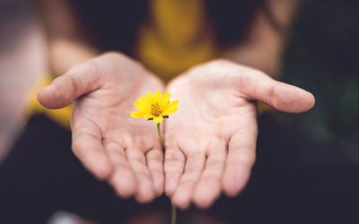 How to Make Your Formal Meditation Practice More Effective