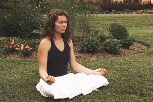 Living Yoga: The life and teachings of Swami Satchidananda - Image 4