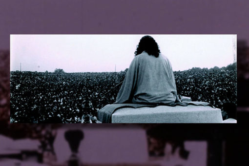 Living Yoga: The life and teachings of Swami Satchidananda - Image 5