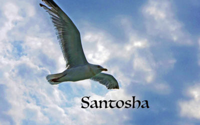 Raja Yoga Teaching of the Month: Santosha