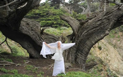 Shabad Yoga: The Sounds of Wisdom