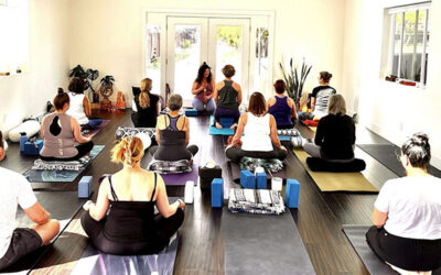 Yoga to Support Immunity