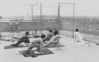 Satchidananda Prison Project