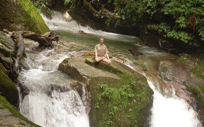 Dis-ease: Don’t Disturb Your Natural Ease