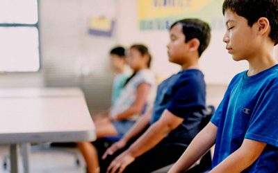 The Yoga Ed Program
