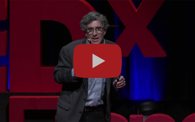 How Mindfulness Changes the Emotional Life of Our Brains
