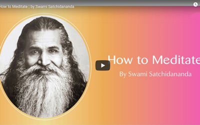 How to Meditate