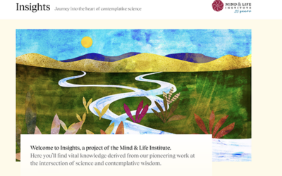 New Multimedia Website Launched: Insights